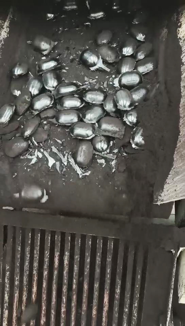 山西大同客戶到我公司進行活性炭干粉壓球試驗